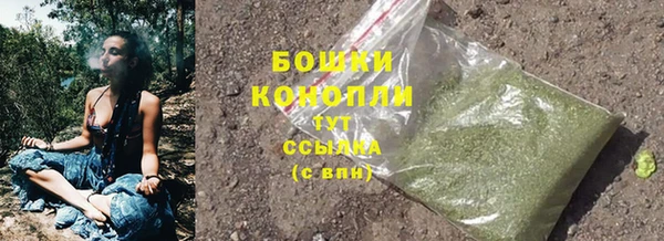 бошки Алзамай
