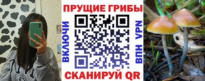 Галлюциногенные грибы ЛСД  продажа наркотиков  Бабаево 